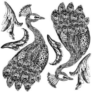 Tampon double plaque Pavo