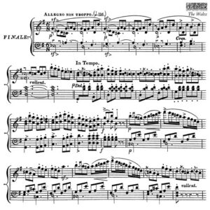 TAMPONS waltz