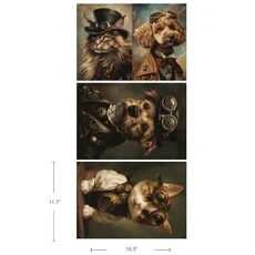 papier fibre favorite pets